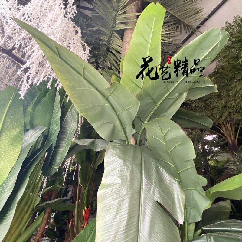 造景仿真香蕉树芭蕉树室内外大型单只/束盆栽盆景摆放花艺蕉美人