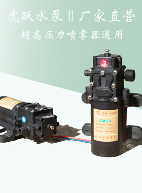 速发4Y-H抽00虎跃12v高压隔膜泵农用电动喷雾器7水泵喷雾泵增压泵
