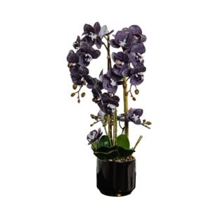 仿真花蝴蝶兰盆栽带花剑米歇尔红色兰花花瓣结婚高档仿真成品造型