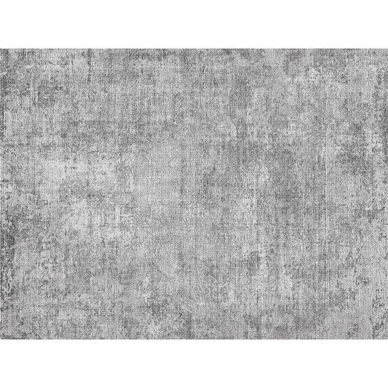 地毯客厅2025新款轻奢高级感灰色免洗可擦卧室床边地垫极简沙发毯