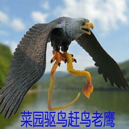 赶鸟驱鸟神器家用阳台惊