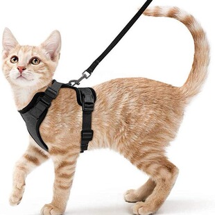 日本品质宠物用品猫猫透气胸背带反光防挣脱遛猫绳猫牵引绳小型狗