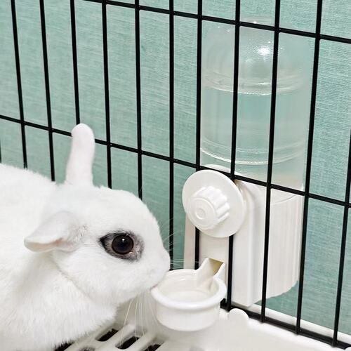 LASGE/拉士格兔子水壶饮水器荷兰猪龙猫大容量方便自动续水