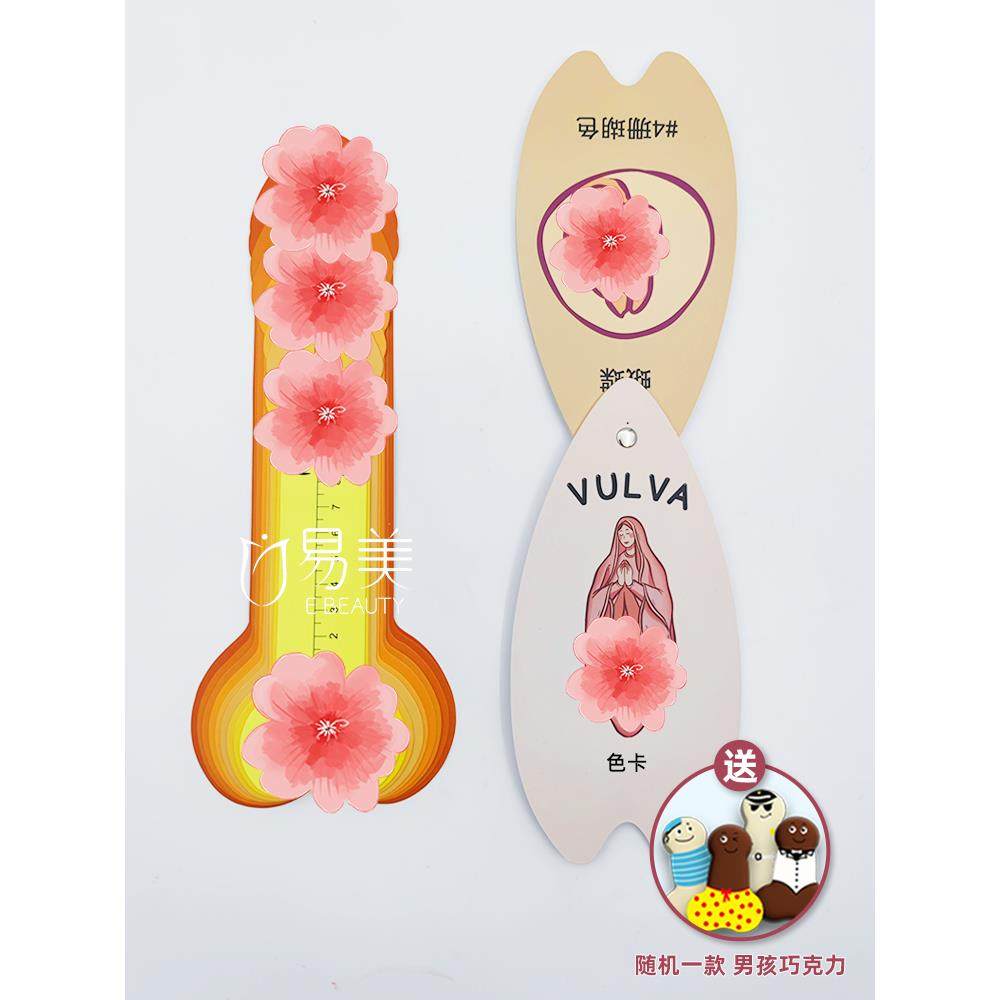 美容整形女性颜色对比妹妹色卡男性尺寸对比测量教具丁丁医患沟通