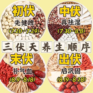 三伏天40天养生茶包入伏天中伏湿气适合脾胃末伏夏天三伏天喝的茶