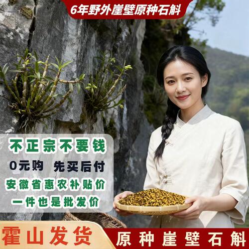 正宗崖壁铁皮石斛枫斗纯粉