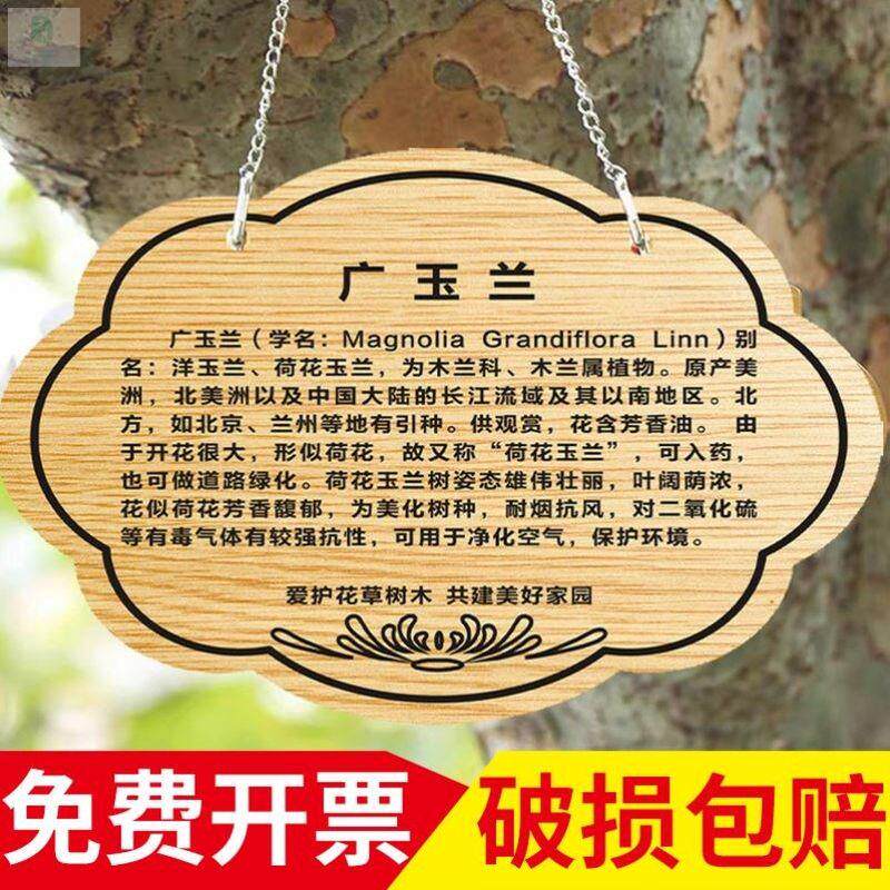 速发植树节树牌树挂牌爱护花草提示牌树铭信息标介绍识木学校公园