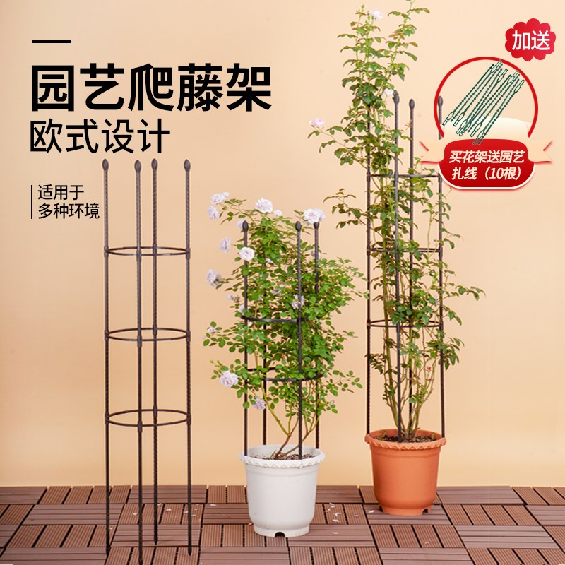 速发台花架爬藤架户外支艺月季花绿架铁线莲支萝室内蓝雪花藤蔓铁