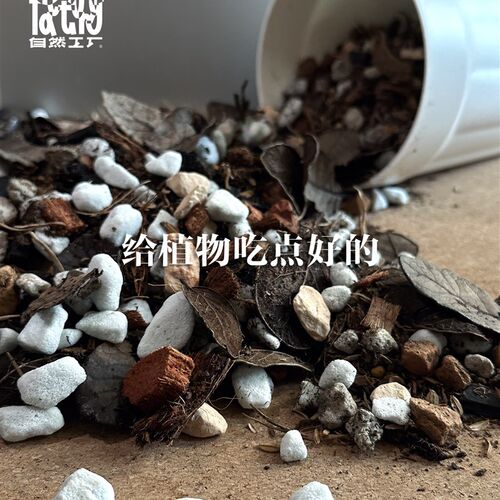GN土高湿版/观叶植y物天南星科热植专用营养土