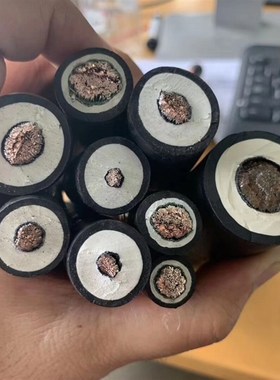 上海南洋电缆6KV高压接引线JEM1*10平方镀锡耐高温电机引出线JBHF