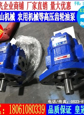 CBY4125 4140 4150 4160 4170 4180 4190 4200长江型齿轮油泵A1FR