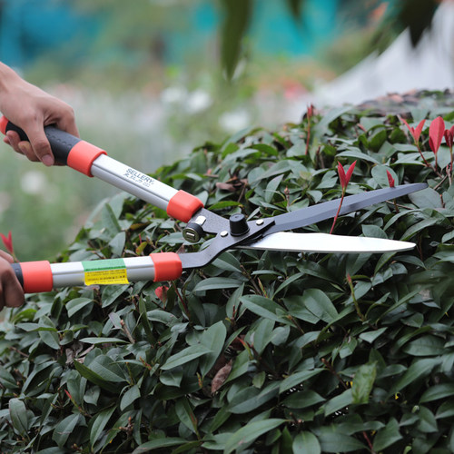 海蒂的花园史拉力园艺大剪刀园林树枝果树强力粗枝修剪加长修枝剪