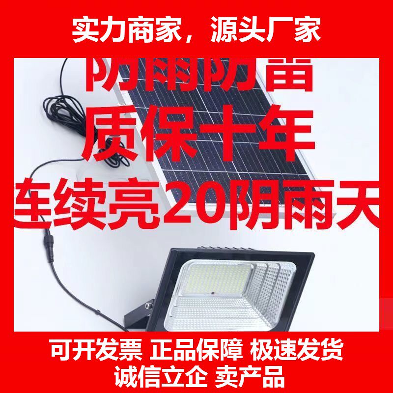 德国十大品牌太阳能照明灯庭院户外家用农村超亮防水院子灯天黑自