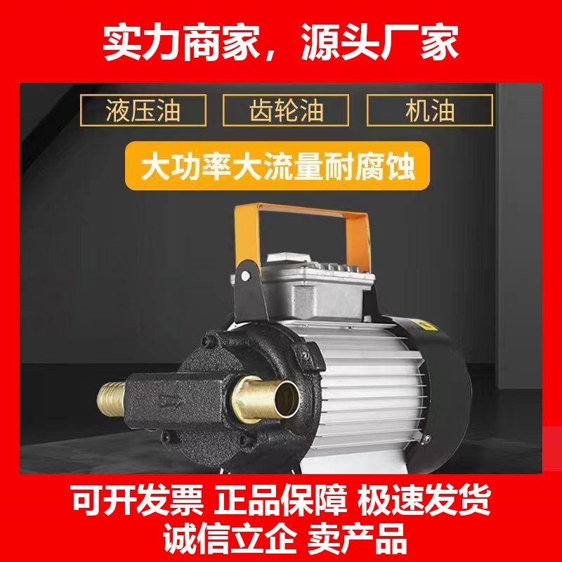 德国十大品牌大功率抽油泵220v插电齿轮泵柴油泵抽油机液压油机油,五金/工具,电泵,淘宝优惠券,粉丝福利购,淘宝优惠卷