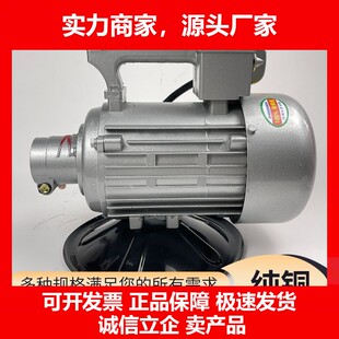 德国十大品牌插入式混凝土振动器电机高频水泥震动振捣棒单相三相