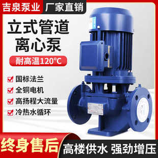 管道离心泵高扬程大流量380V冷热水循环增压泵工业抽水泵 IRG立式