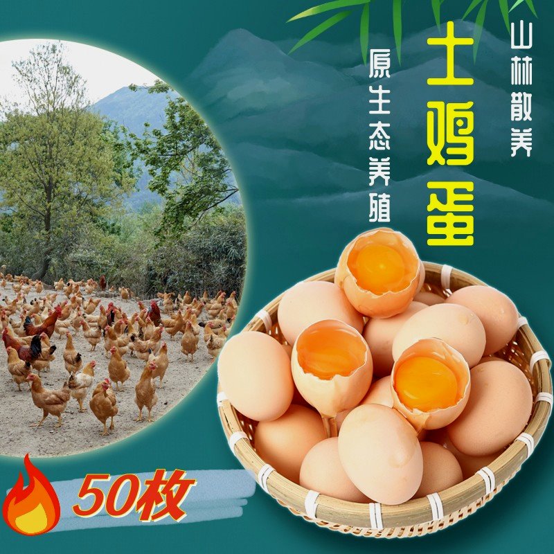 果旮旯虹毅果旮旯整箱50枚正宗农家散养土鸡蛋新鲜草鸡蛋 40-50克