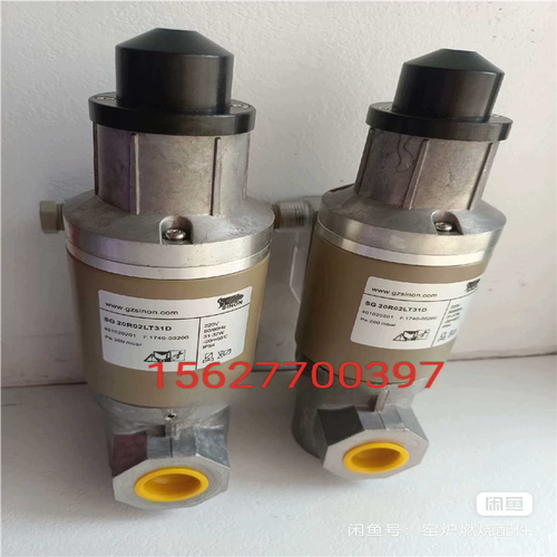 (议价)SG20R02LT31D施能慢开电磁阀DG25R02NT31