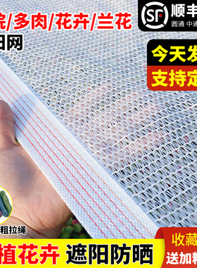 白色遮阳网防晒网多肉植物3针遮阴网庭院阳台花卉蔬菜隔热遮