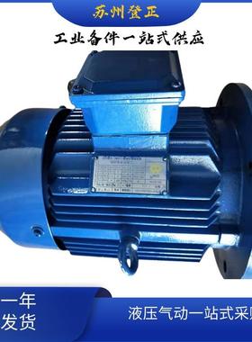 意大利WAM电机MT1600L04245111KW4极