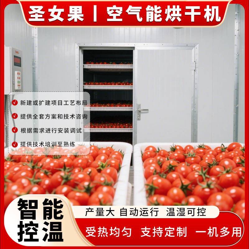 圣女果烘干机空气能千禧果干烘干房番茄皮樱桃西红柿瓣烘干设备