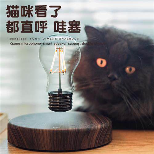 磁悬浮灯泡摆件送男朋友生日礼物实用男生男士惊喜创意七夕情人节
