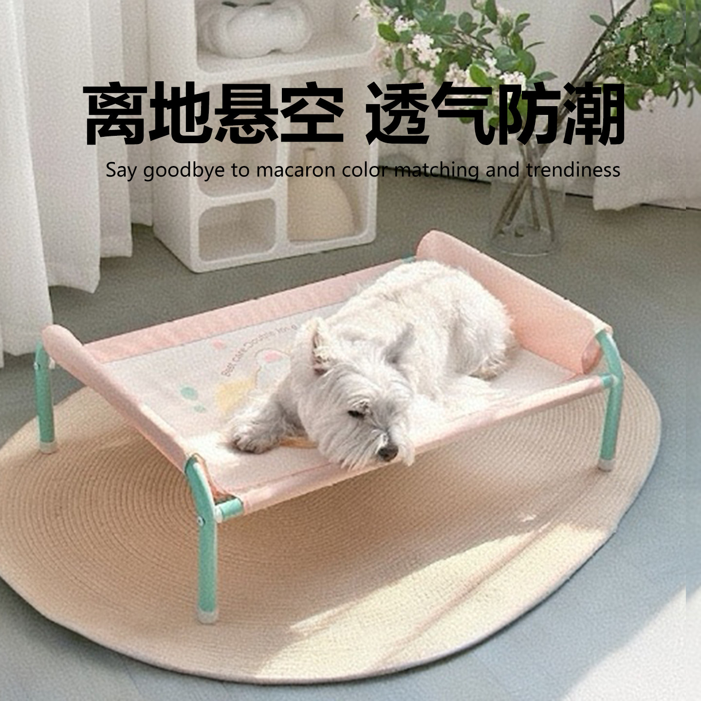 狗狗行军床现货速发离地防潮图片