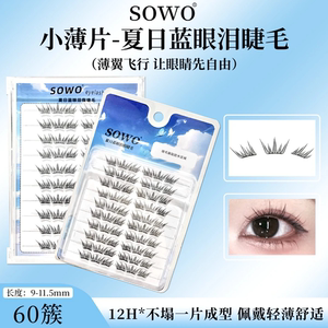 夏日蓝眼泪婉嫔新品假睫毛梦幻海洋清新单簇卷翘撞色分段初学JW2