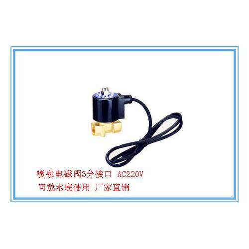 防水电磁阀2A-10 内螺纹3分接口 AC220V 水下专用电磁阀 喷泉使用