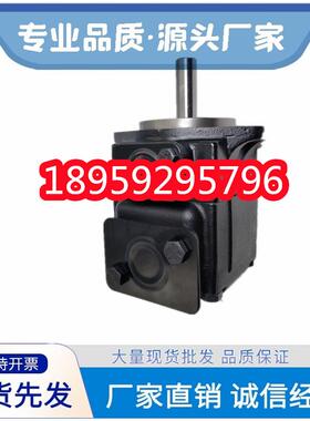 T67BB041R02A1M0VC00丹尼逊DENISON叶片油泵T6C 031 171R03A B C1