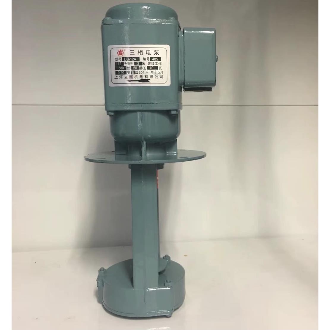 上海立韶DB-12A/B三相电泵40W 机床冷却泵工业电动泵油泵抽水泵