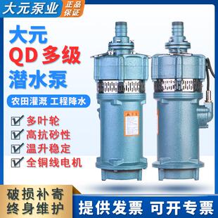 大元QD/Q干式水老鼠潜水泵家用农用灌溉高扬程大流量多叶轮抽水泵