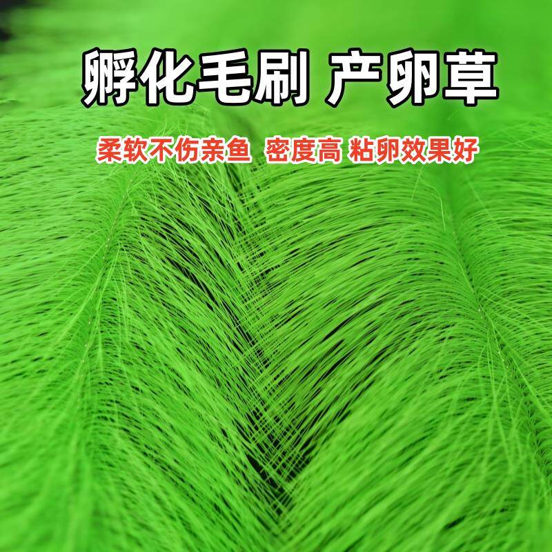 繁殖草锦鲤鱼产卵孵化草金鱼产卵草鱼卵孵化刷 黄绿孵化毛刷 包邮