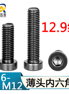 速发12.级六强度薄头内六角螺丝钉矮头高角螺栓M4M0M6M8M15M12M14