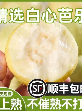【顺丰包邮】福建软心奶油番石榴芭乐鸡屎果新鲜现摘当季水果5斤