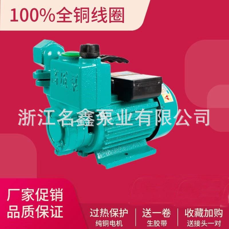 家供小型家直用自吸管道泵增压泵清泵ZIO水厂泵铸铁抽水