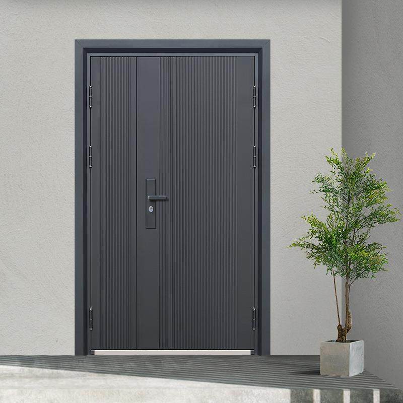 防盗带门入户门气窗通风室外门农大村庭院别墅门子门双母开95686