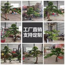 真迎客松假树装罗汉松新56675中室内仿造景绿植景观橱窗楼梯式下