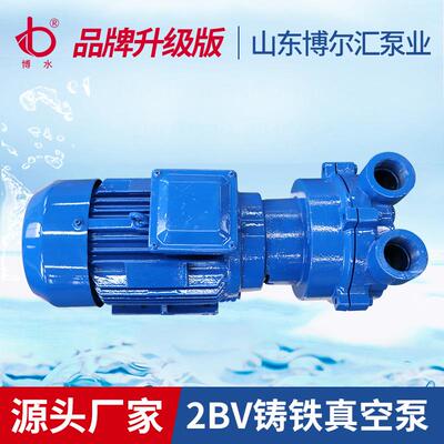 真空泵20BV环2PUF0厂6水式真空泵2BV铸铁真空抽气泵机电设备淄博