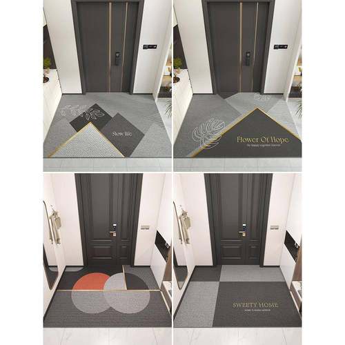 地垫入户门垫玄进门关丝圈耐脏脚垫0258987口5新款垫子大门2进户