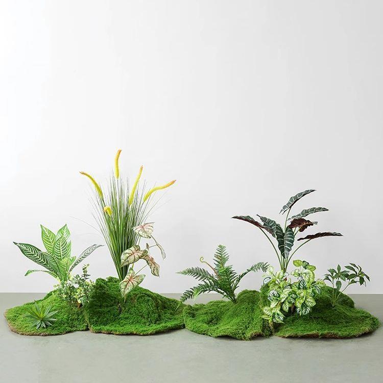 植物造景盆装饰仿生景轻绿摆室微景观组合奢植DD102206花苔件内藓