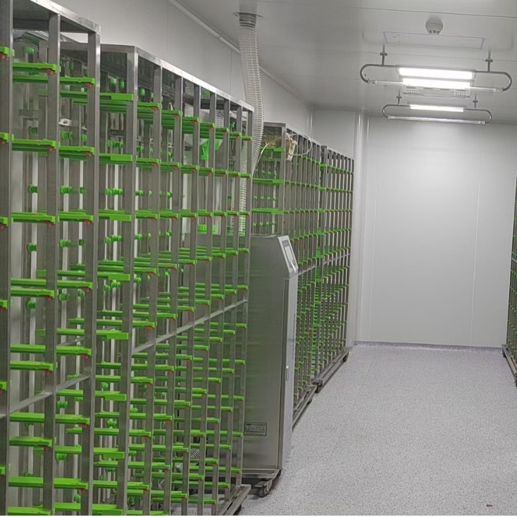 小鼠IVC动物实验系统 小鼠IVC笼具实验系统  小鼠IVC实验系统64笼