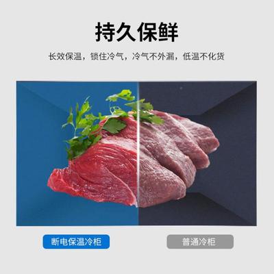 铭雪商用低温卧式容冷柜-超6冷0℃/-80℃保鲜冰柜海鲜藏XDZ冰箱大