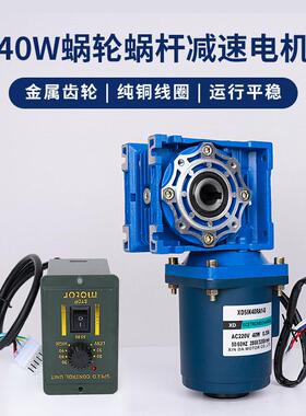 信达工r厂40W蜗轮蜗杆减5IK40RA1速电机v4机0减速大力矩220v电动