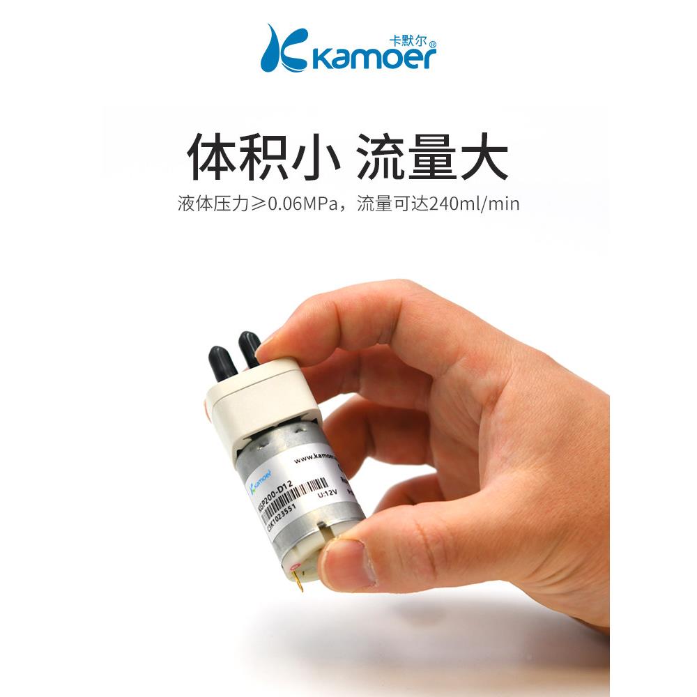 卡默尔微型齿轮泵12V直流塑料迷你电小动型抽泵LMJ水泵 高压水循