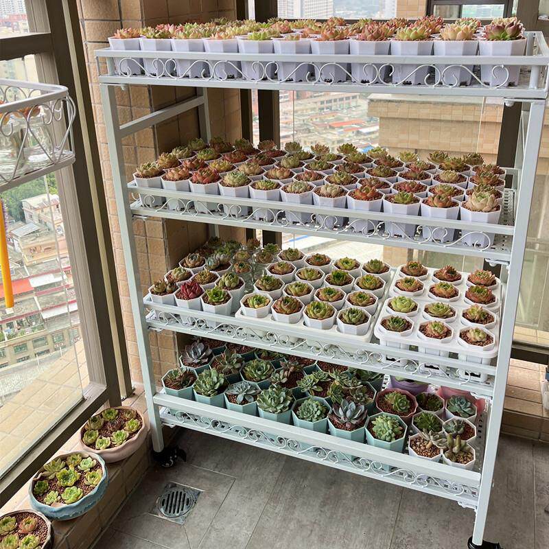 【花含移烟】阳台22落多肉花架外地带轮动室内室铁艺露台多层花架