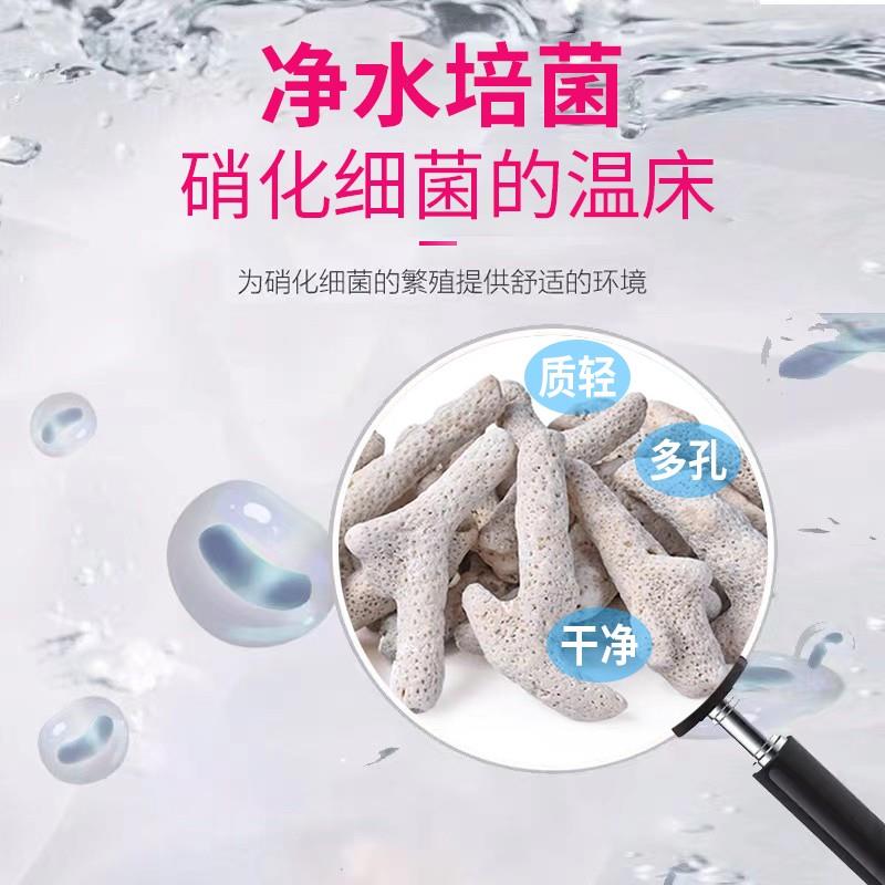 海缸天景珊瑚骨菲宾沙子然律珊瑚骨-鱼缸底砂过滤材料净造化水质图片