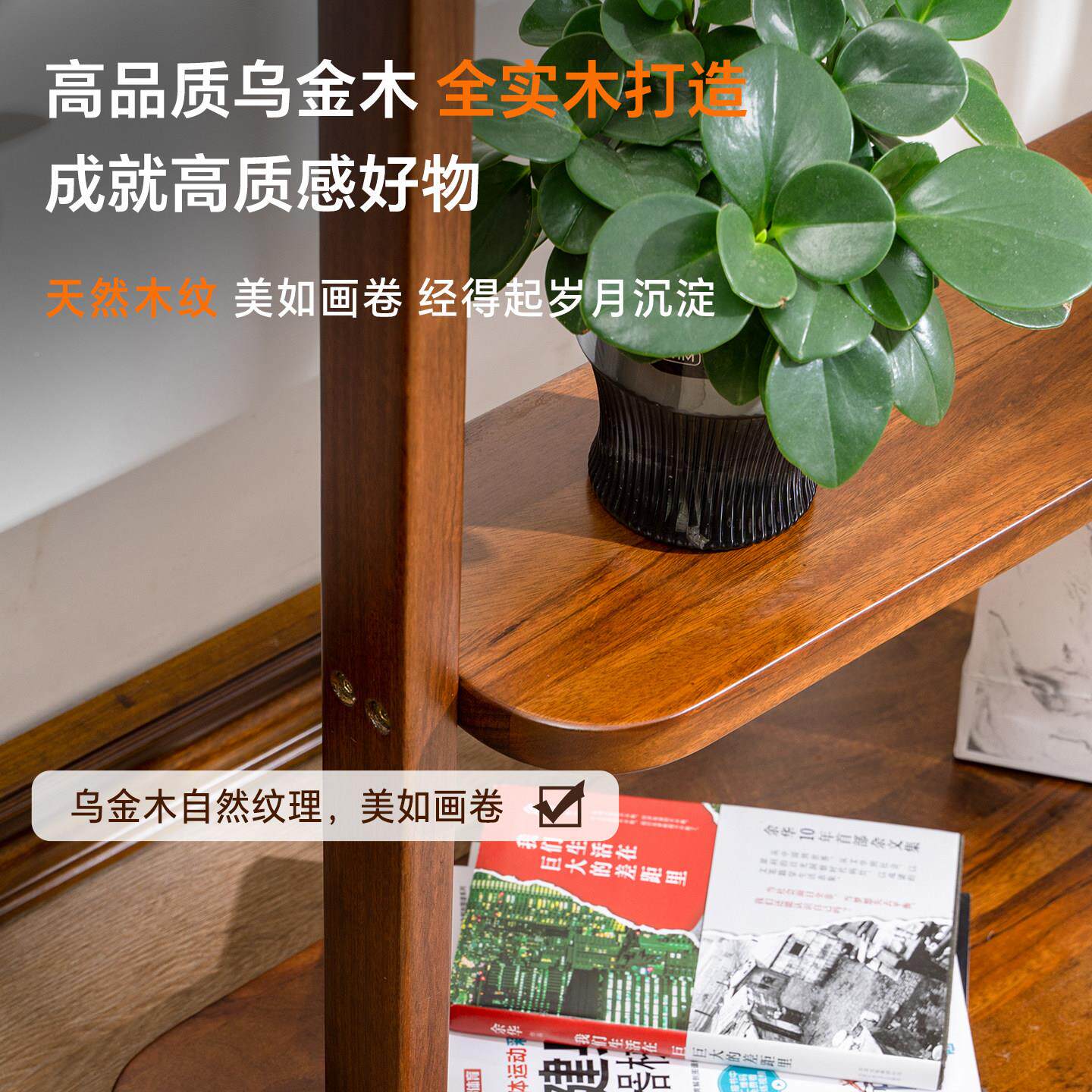 实木乌金木纳衣帽架奢落地卧室挂衣架WJYTGY01轻高级客厅户家用入
