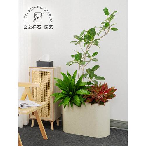 玄祥之石椭圆形水花盆长条镁泥箱马槽简约北泥欧风TYHP0001绿植隔