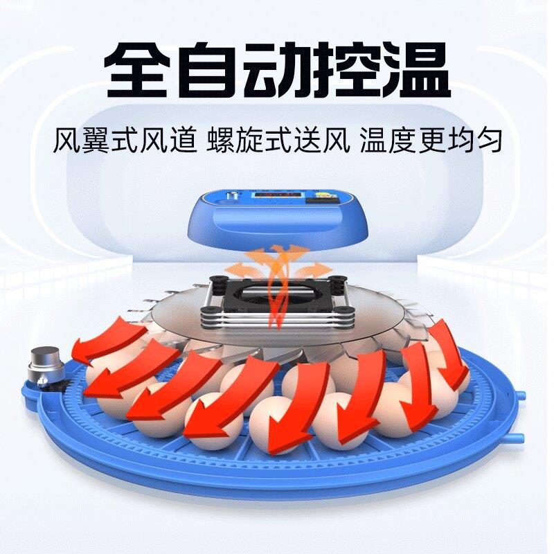 小型家用孵型孵化机蛋器芦丁小飞鸡碟孵RQH化器鹦鹉小鸡全自动化